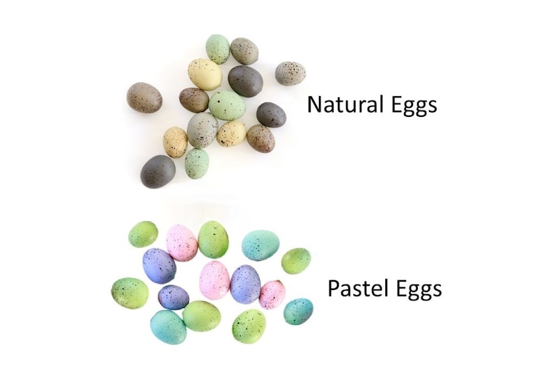 Speckled Eggs . natural eggs . foam eggs . faux eggs . easter eggs . nest eggs . bird eggs . small eggs image 2