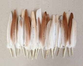 Personalized Hat Feather , custom hat feather , cowboy hat accessories , wedding cowboy hat