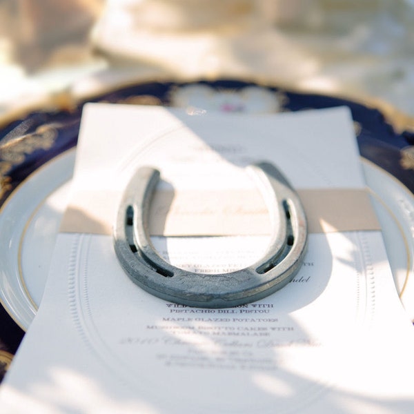Horseshoe Party Favors Etsy