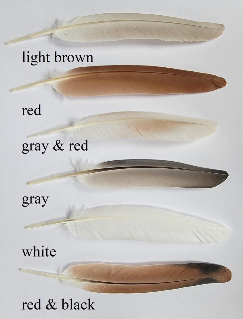 Custom Hat Feather , personalized hat feather , cowboy feathers , hatbands with feathers, feathers for hat bands , image 2