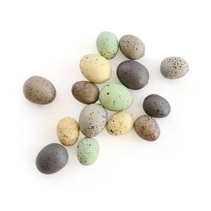 Speckled Eggs . natural eggs . foam eggs . faux eggs . easter eggs . nest eggs . bird eggs . small eggs image 1