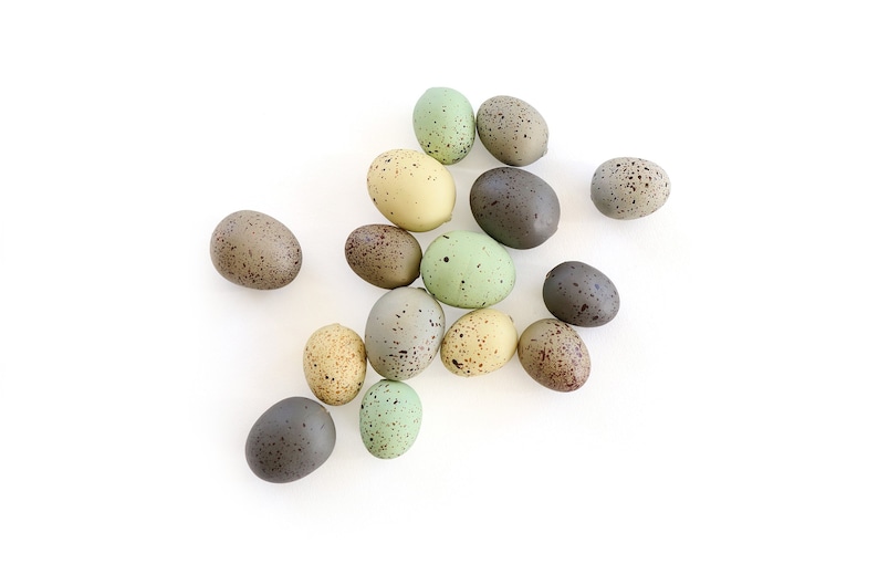 Speckled Eggs . natural eggs . foam eggs . faux eggs . easter eggs . nest eggs . bird eggs . small eggs image 1