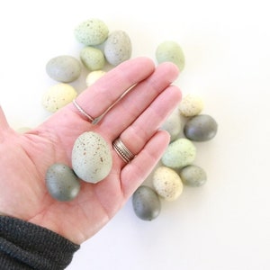 Speckled Eggs . natural eggs . foam eggs . faux eggs . easter eggs . nest eggs . bird eggs . small eggs NATURAL EGGS