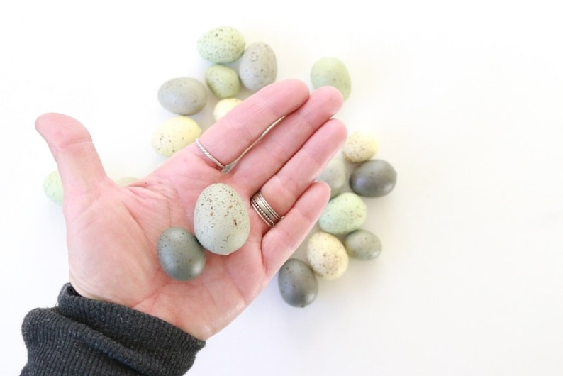 Speckled Eggs . natural eggs . foam eggs . faux eggs . easter eggs . nest eggs . bird eggs . small eggs NATURAL EGGS