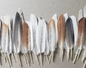 Artículos de esta tienda