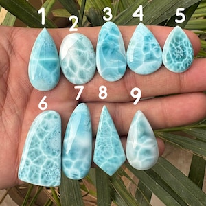 Può includere: Una collezione di nove pietre preziose di larimar lucidate in varie forme, tra cui goccia, ovale e triangolare. Le pietre mostrano una gamma di tonalità blu con venature bianche, che ricordano le onde dell'oceano. Le pietre preziose sono esposte su uno sfondo di foglie verdi.