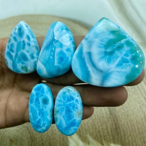 Pu&ograve; includere: Una collezione di sei pietre preziose di larimar lucidate in varie forme. Le pietre presentano motivi blu e bianchi, che ricordano le onde dell'oceano. Le pietre preziose sono tenute in una mano, mostrando la loro bellezza naturale e i loro design unici.