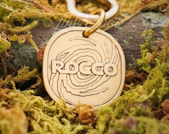 Placa de identificación Galaxy para perros • Identificación de mascotas grabada en profundidad • Latón vintage • Regalo personalizado para mascotas
