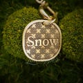 Snowflake Dog Tag • Deep Engraved Pet ID • Vintage Brass • Bespoke Pet Gift product logo
