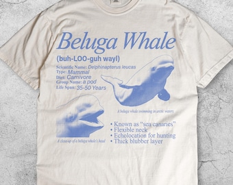 Könnte beinhalten: Elfenbeinfarbenes T-Shirt mit einem blauen Beluga-Wal-Motiv und dem Text "Beluga Whale". Das Design enthält wissenschaftliche Informationen, ein Diagramm und den Ausdruck "sea canaries".
