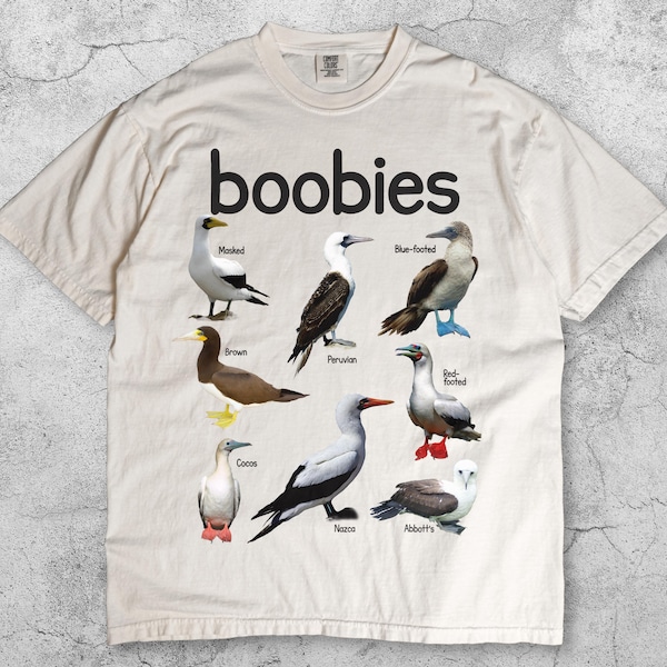 Camiseta Boobies Vintage Anos 90 com Estampa de Pássaros, Camiseta Gráfica Retrô Divertida para Observação de Pássaros Y2K, Camiseta com Humor de Guia de Campo de Aves Marinhas, Presente para Ornitólogos e Amantes da Vida Selvagem