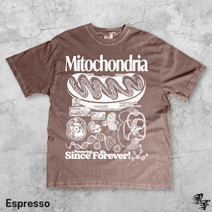 May include: Espresso-colored t-shirt with a white graphic design featuring the word "Mitochondria" and related scientific illustrations. The shirt also includes the text "Powering life Since Forever!"