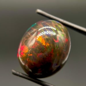 May include: A polished, oval-shaped black opal gemstone with vibrant internal fire. The opal displays flashes of red, orange, and green hues. Held by a pair of metal tweezers, the gemstone is set against a dark background.