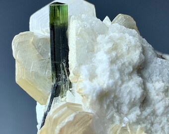 86g Green Cap Tourmaline Crystal with Muscovite & Albite – Natural Mineral Specimen from Pakistan
