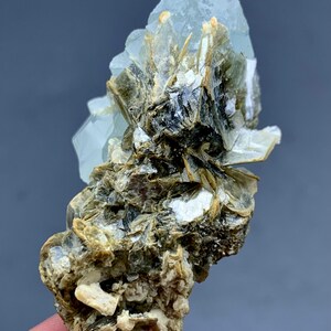 Peut inclure: Sp&eacute;cimen min&eacute;ral naturel avec un groupe de cristaux d'aigue-marine bleu clair sur une matrice de mica sombre et d'autres min&eacute;raux. Les cristaux d'aigue-marine sont translucides. La palette de couleurs est un m&eacute;lange de bleus, de bruns et de blancs.