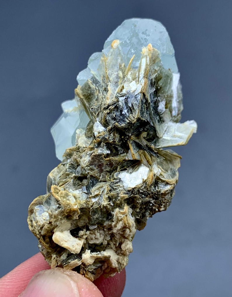 Peut inclure: Sp&eacute;cimen min&eacute;ral naturel avec un groupe de cristaux d'aigue-marine bleu clair sur une matrice de mica sombre et d'autres min&eacute;raux. Les cristaux d'aigue-marine sont translucides. La palette de couleurs est un m&eacute;lange de bleus, de bruns et de blancs.