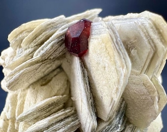 42g Natural Almandine Garnet Crystal on Muscovite from Pakistan – Mineral Specimen for Collectors