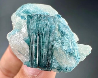 87ct Indicolite Tourmaline Crystal with Quartz – Natural Afghan Blue Tourmaline Specimen