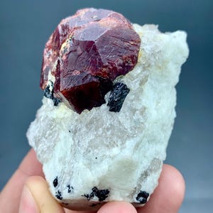 May include: A raw, natural garnet crystal with a deep red hue, set against a matrix of white rock. Small black mineral inclusions are visible. The gemstone is held in a hand.