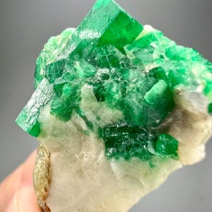 以下が含まれることがあります： 鮮やかな緑色のエメラルド結晶群のクローズアップ。エメラルドは濃く鮮やかな緑色で、結晶面がはっきりと定義されています。マトリックスは淡いベージュ色で、コントラストのある背景を提供しています。全体的な構図は、宝石の自然な美しさを際立たせています。