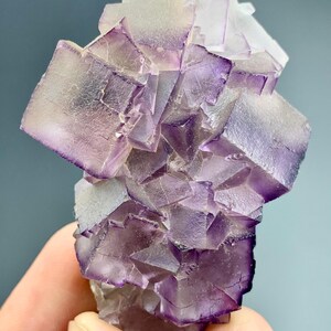 May include: A cluster of fluorite crystals with a gradient of purple and clear hues. The cubic crystals are tightly packed, creating a textured, geometric appearance. The mineral specimen is held against a muted blue-gray background.