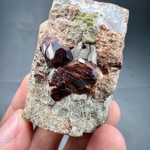 Puede incluir: Un espécimen mineral natural con tres cristales de granate rojo oscuro incrustados en una matriz de roca gris y marrón. Los cristales tienen una apariencia brillante y facetada, que contrasta con la textura rugosa de la roca.