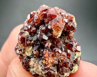 50 Ct Natural Red Garnet Crystal Cluster from Pakistan | Almandine Garnet Mineral Specimen