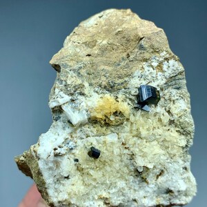 May include: A natural mineral specimen featuring a rough, tan-colored rock matrix. Embedded within the matrix are several small, lustrous, black crystal formations. The rock also displays areas of white and yellow crystalline structures.