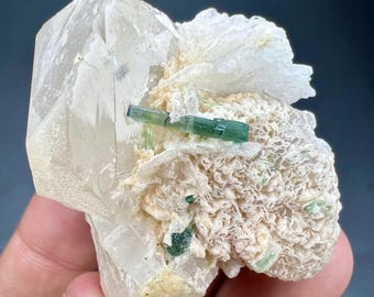 Cristallo di tormalina verde naturale da 43 g con quarzo e muscovite / Afghanistan