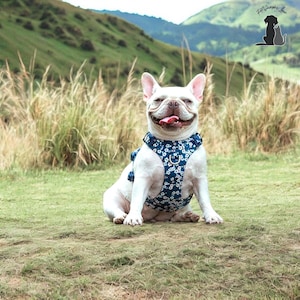 Adjustable Reflective Dog Harness - No-Pull Step-In Pet Harness for Small to Large Dogs - Breathable Design for Comfort & Control