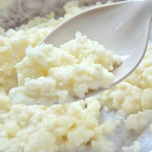 15g Organic Milk Kefir Grains - Make Probiotic Liquid Gold EASY for all the family!
