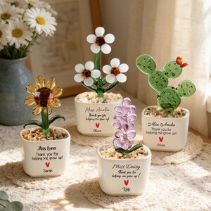 May include: Four small glass plant ornaments in white square pots filled with pebbles. Each pot features custom text including names like Miss Luna, Miss Amelia, and Miss Daisy, with the phrase Thank you for helping me grow up and a red heart.