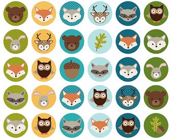 Könnte beinhalten: Ein Set mit 48 bunten runden Aufklebern mit Waldtieren und Naturelementen. Die Aufkleber zeigen eine Vielzahl von Tieren, darunter Füchse, Eulen, Hirsche, Waschbären, Bären und Kaninchen. Die Aufkleber zeigen auch Eicheln und Blätter. Die Aufkleber sind perfekt, um Ihren Bastelarbeiten, Geschenken und Ihrer Inneneinrichtung einen Hauch von Verspieltheit zu verleihen.