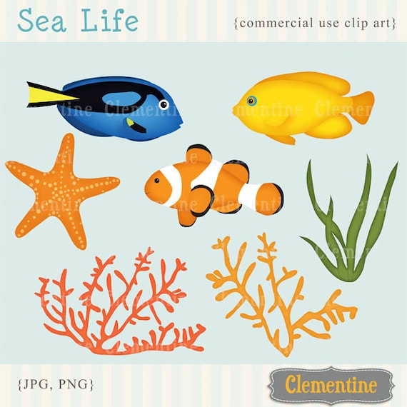 Fish Clip Art Images, Clip Art Fish, Fish Clipart, Royalty Free Clip Art  Instant Download 