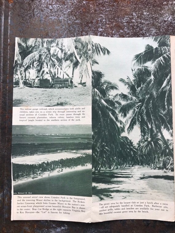 Crandon Park Tide Chart