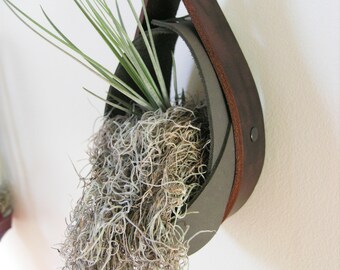 Salvaged Leather Hanging Planter | Airplant vase | Hanging plants | Hanging Planter in Matte Gray