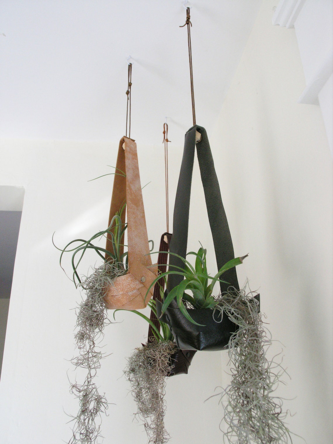 Salvaged Leather Hanging Planter for Air Plants Air Plant Etsy