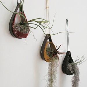 Salvaged Leather Hanging Planter Airplant vase Hanging plants Hanging Planter in Black zdjęcie 4