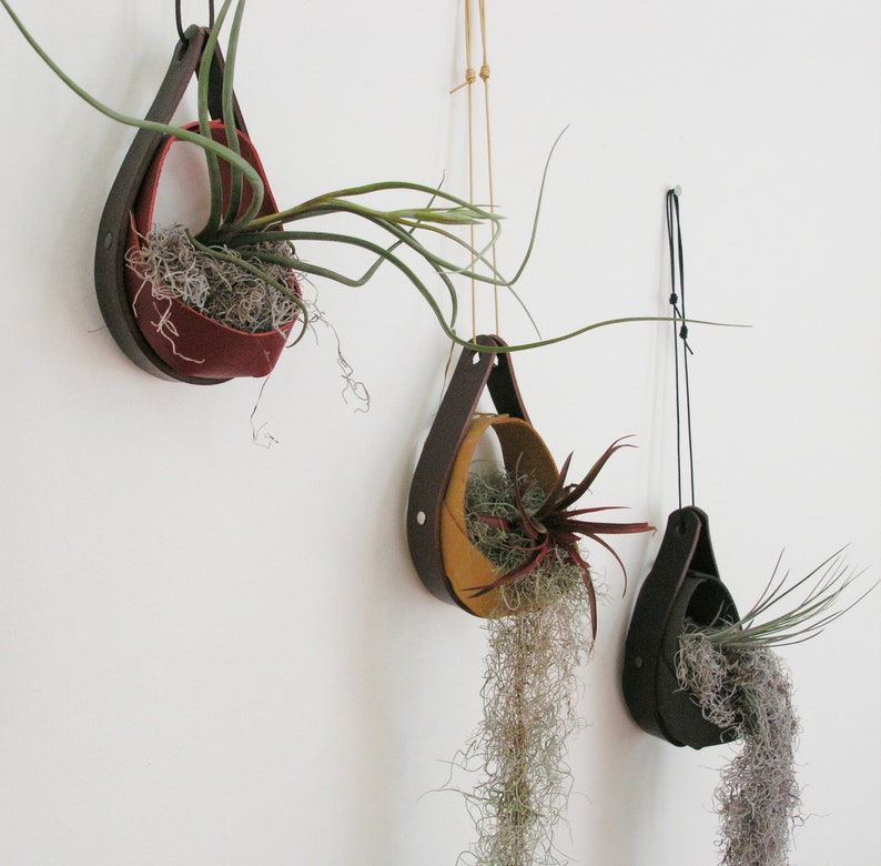 Salvaged Leather Hanging Planter Airplant vase Hanging plants Hanging Planter in Black zdjęcie 4