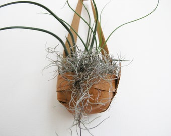 Salvaged Leather Hanging Planter for Air Plants | Air plant display | Leather planter | Hanging Planter in Embossed Walnut