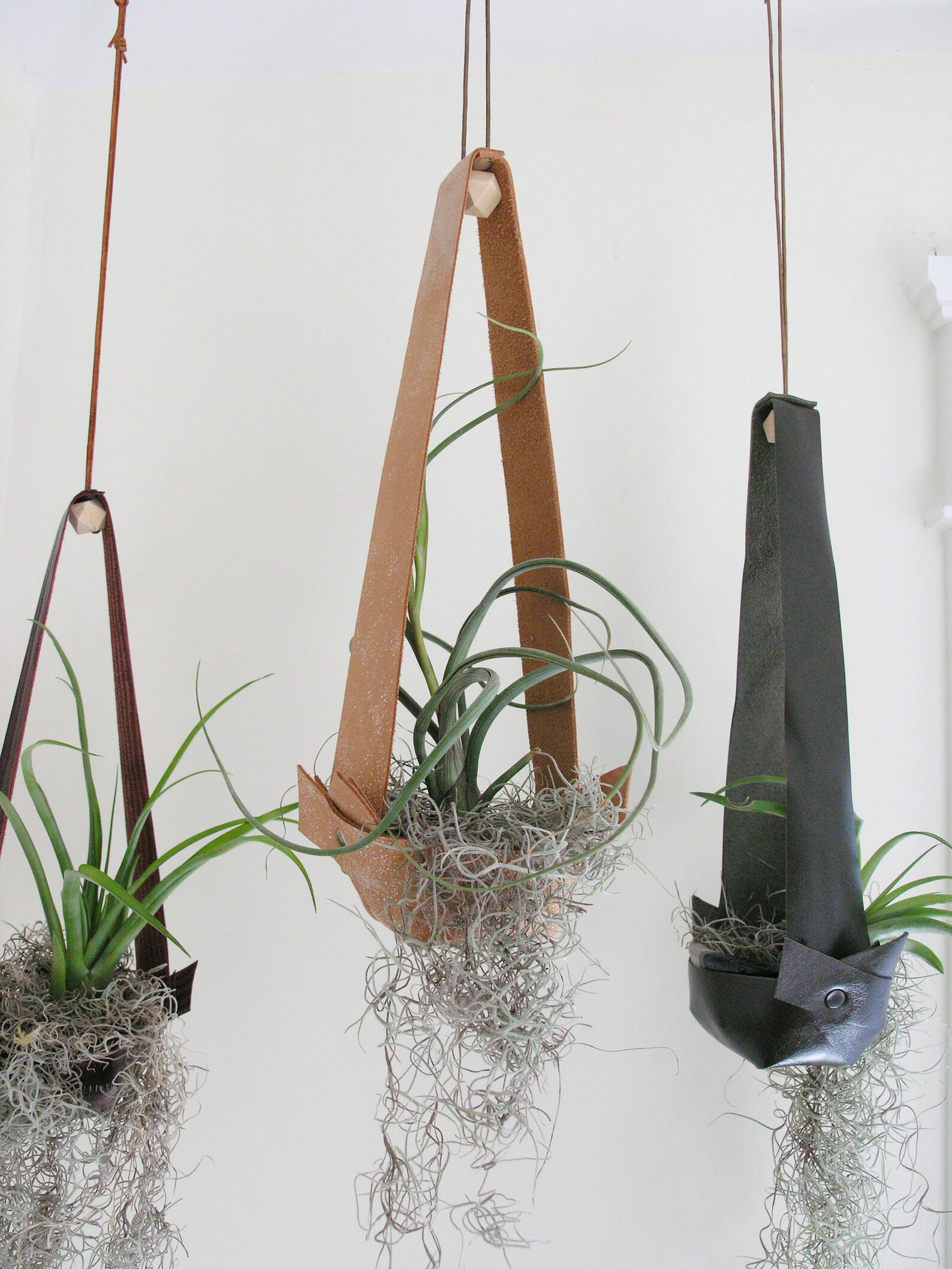 Salvaged Leather Hanging Planter for Air Plants Air Plant Etsy