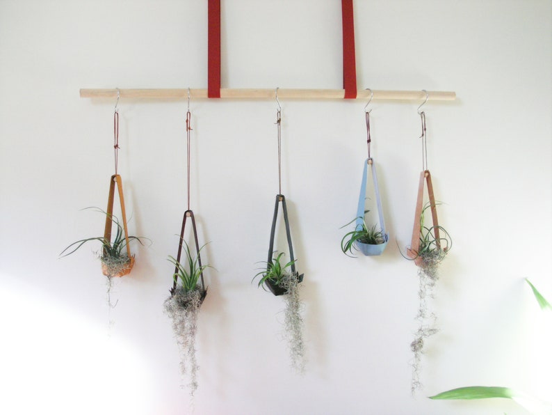 Salvaged Leather Hanging Planter for Air Plants Air Plant Etsy