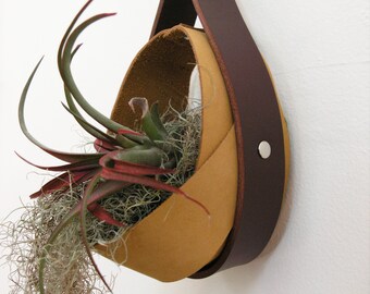 Salvaged Leather Hanging Planter | Airplant vase | Hanging plants | Hanging Planter in Nubuck