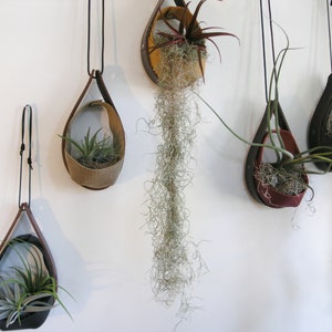 Salvaged Leather Hanging Planter Airplant vase Hanging plants Hanging Planter in Black zdjęcie 5