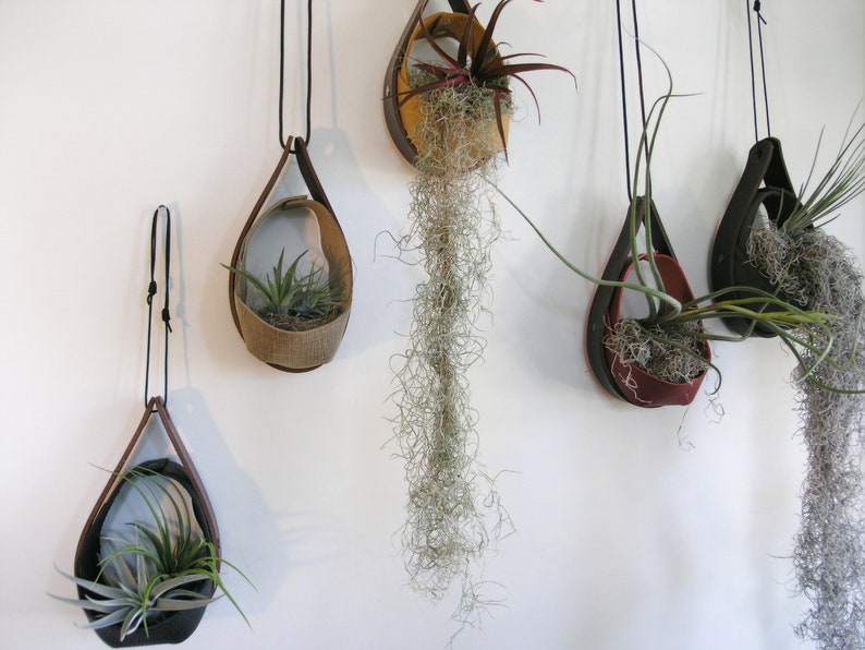 Salvaged Leather Hanging Planter Airplant vase Hanging plants Hanging Planter in Black zdjęcie 5