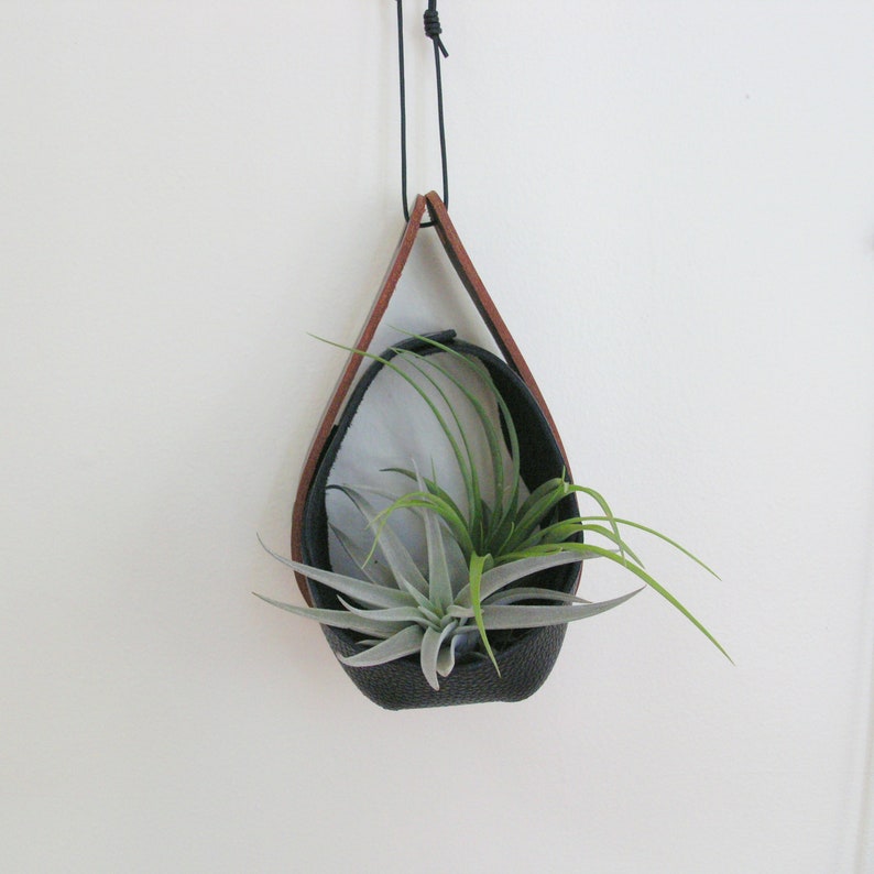 Salvaged Leather Hanging Planter Airplant vase Hanging plants Hanging Planter in Black zdjęcie 3