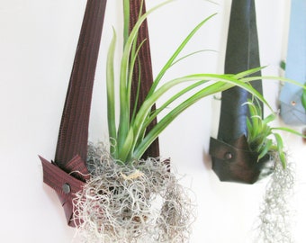 Salvaged Leather Hanging Planter for Air Plants | Air plant display | Leather planter | Hanging Planter in Maroon