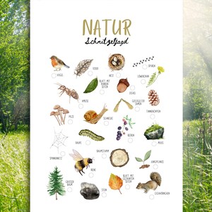 以下が含まれることがあります： 「NATUR」と「Schnitzeljagd」の文字が金色で書かれた白いポスター。鳥、羽、巣、ドングリ、蜂など、自然の要素を水彩で描いたイラストが特徴です。ポスターは緑色の背景に囲まれています。