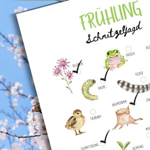 May include: A white paper with the word "FR&Uuml;HLING" in green and "Schnitzeljagd" in black. The paper has illustrations of a flower, frog, caterpillar, duckling, butterfly, feather, tree stump, and sprout.