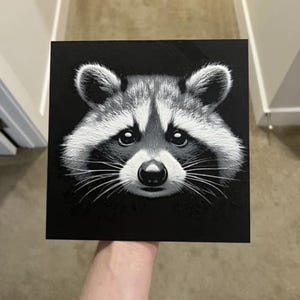 3D picture raccoon wall picture art print raccoon living room decoration animal motif wall art raccoon high-quality art print